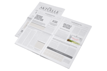 Anzeige Görlitz Tageszeitung Modehaus Schwind's Erben Weihnachten