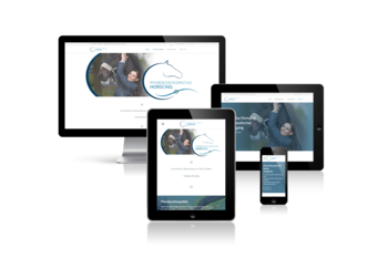 Responsiv Design Webseite Görlitz Pferdeosteopathie Horschig